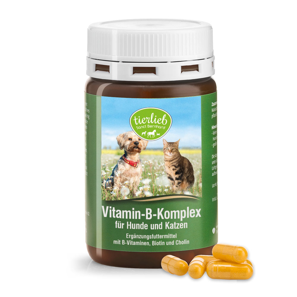 Viên bổ sung vitamin B cho chó và mèo Tierlieb